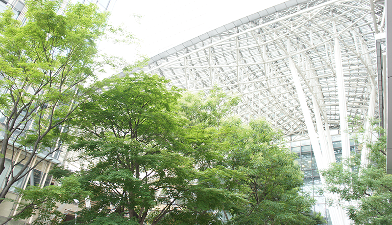 manbex2.0官方地址 動物のお医者さん (1) (花とゆめCOMICS)「ハムテルや二階堂に恋人はいないのですか？友達は不自然だと言っています